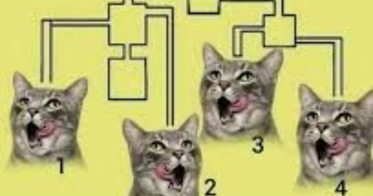 Who Drinks the Orange Juice? A Fun Puzzle That Challenges Your Brain!