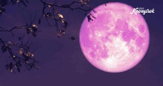 April’s “Pink Moon” 2025: When, Where, and How to Watch the Celestial Spectacle